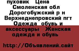 пуховик › Цена ­ 2 500 - Смоленская обл., Дорогобужский р-н, Верхнеднепровский пгт Одежда, обувь и аксессуары » Женская одежда и обувь   